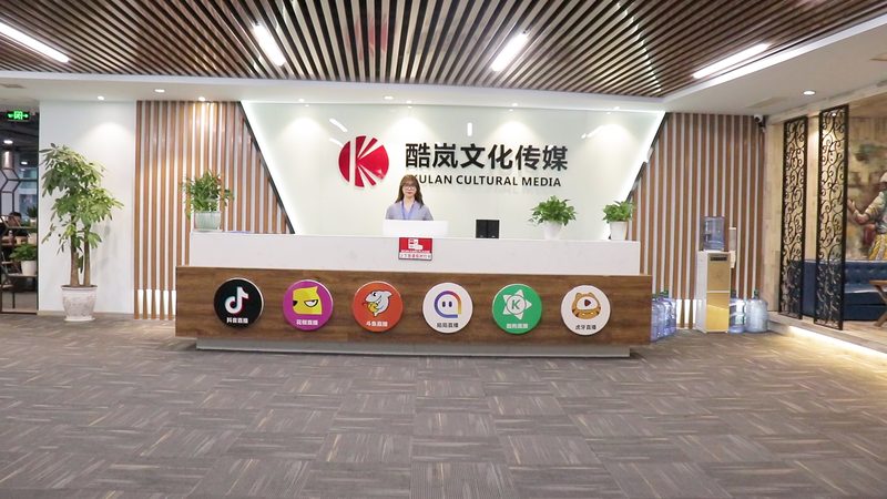 MG动画与Flash动画：一场视觉与技术的对话