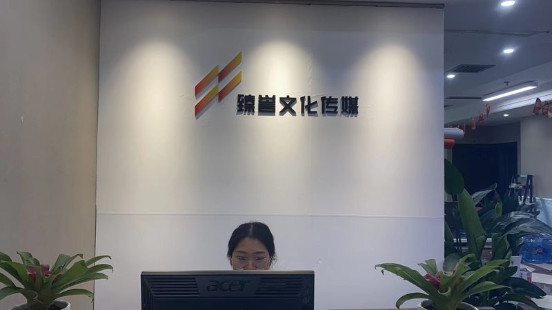上海纪录片拍摄手法解析：揭秘制作背后的艺术与技巧